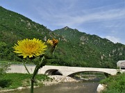 01 Il ponte sul Brembo da poco aperto della Sanpellegrino-spa  visto dalla ciclovia di Valle Brembana